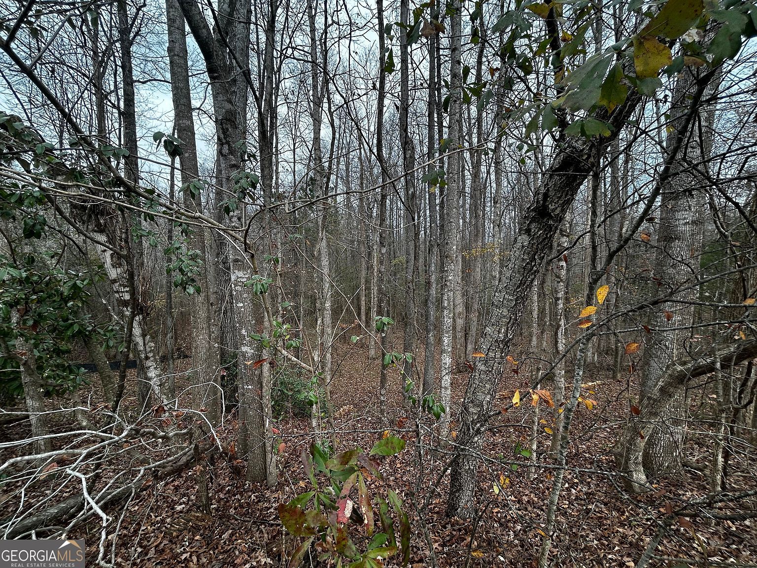 133 Four Oaks Dr Griffin, GA 30224 - Thumbnail 3