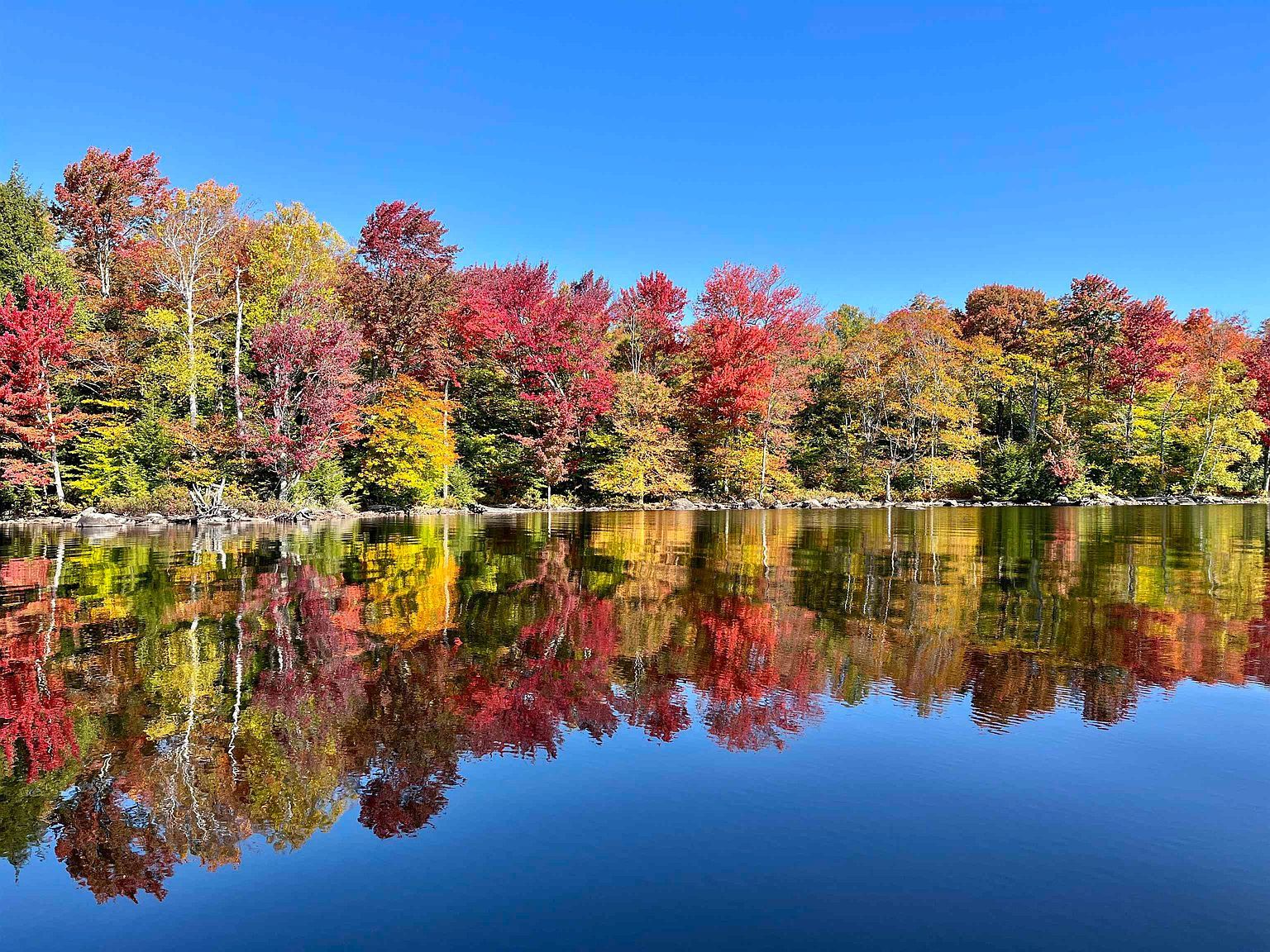 10 Miles Ln Oswegatchie, NY 13670 - Thumbnail 3