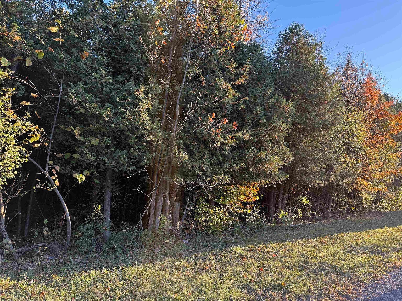 49 County Rte Winthrop, NY 13697 - Thumbnail 3