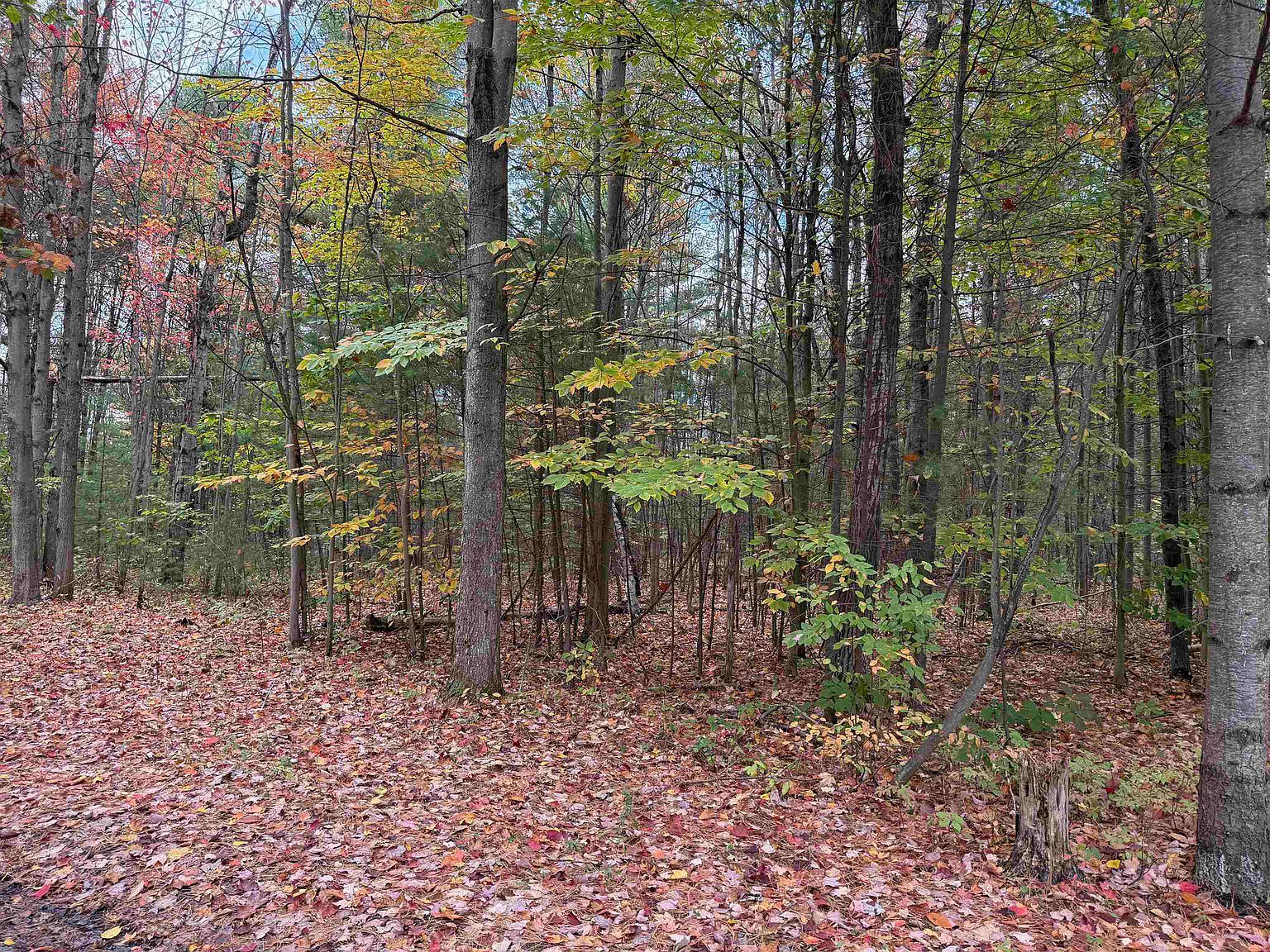 4131 State Highway 310 Norfolk, NY 13667 - Thumbnail 3