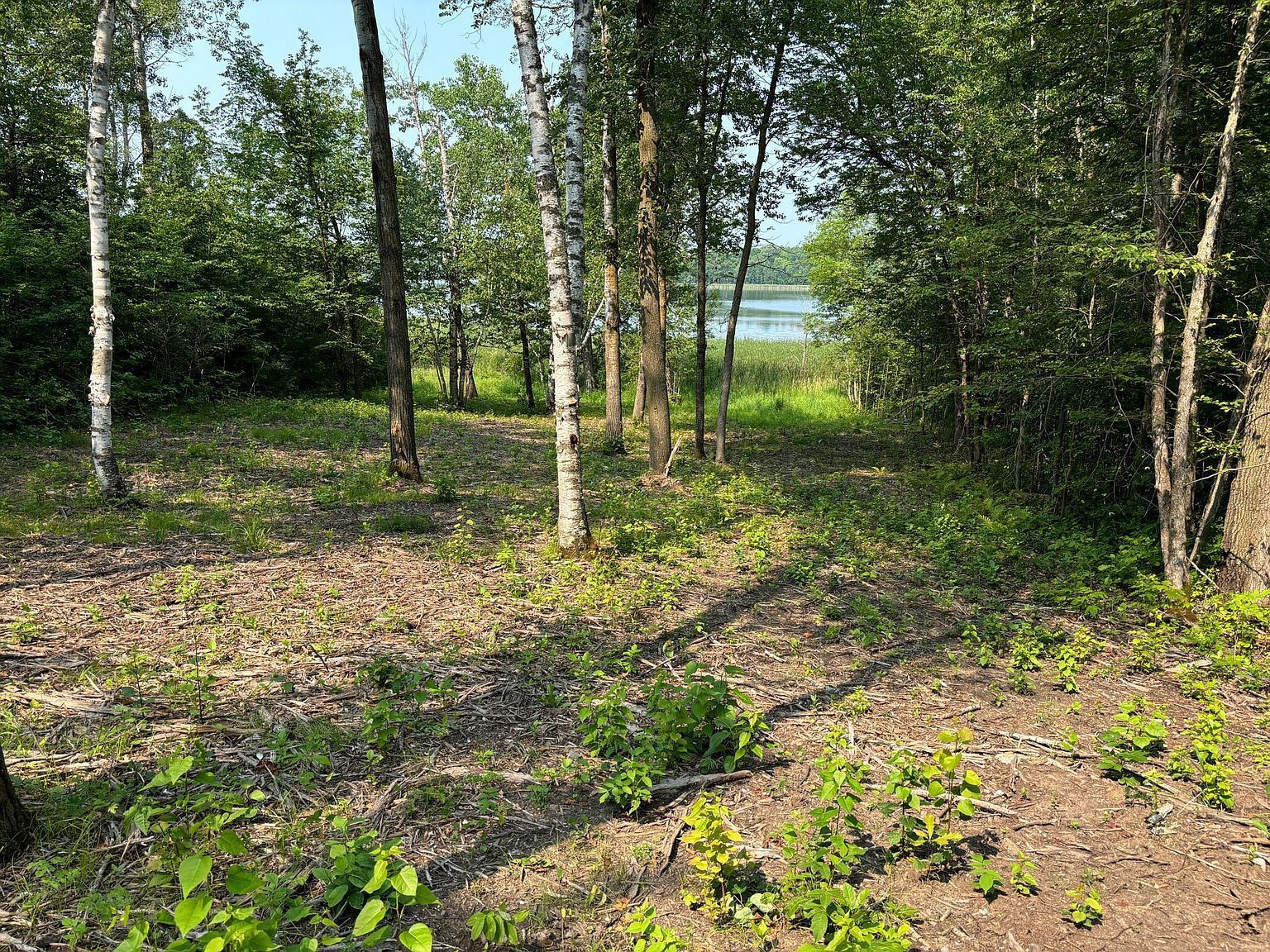 1254 Island Lake Resort Dr Lengby, MN 56651 - Thumbnail 3