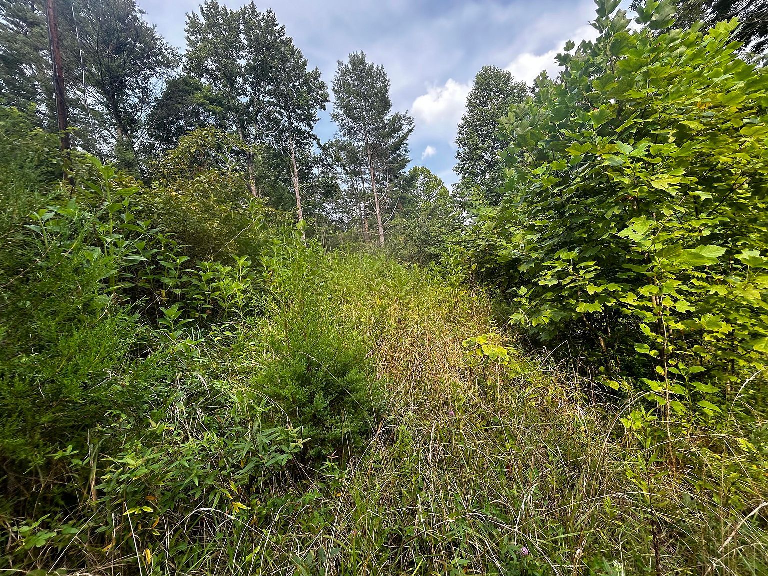 6270 Highway 192 Somerset, KY 42501 - Thumbnail 3