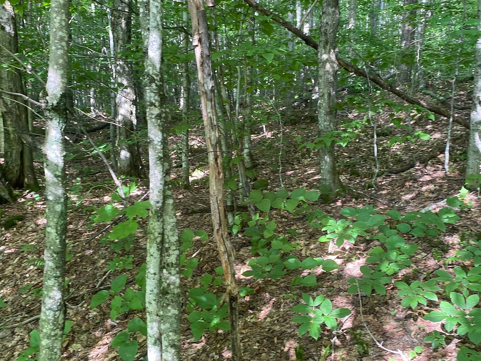 0 Maple St North Troy, VT 05859 - Thumbnail 3