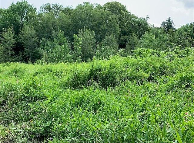 0 Leonard Rd South Royalton, VT 05068 - Thumbnail 3