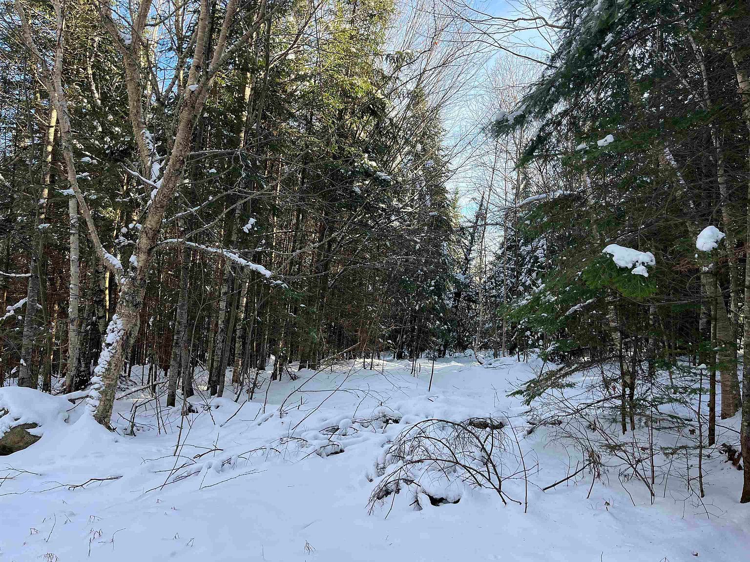 0 Shadow Lake Rd Glover, VT 05839 - Thumbnail 3