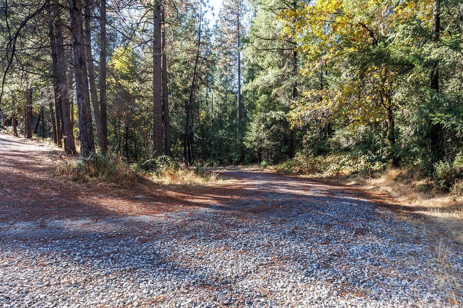 4261 Glory Hole Dr Camino, CA 95709 - Thumbnail 3