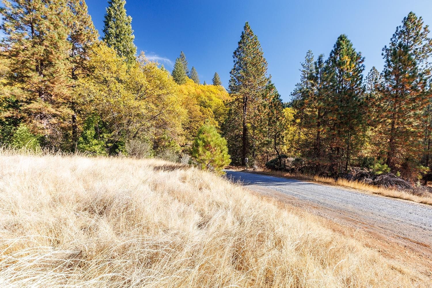 3609 Red Dog Dr Camino, CA 95709 - Thumbnail 3