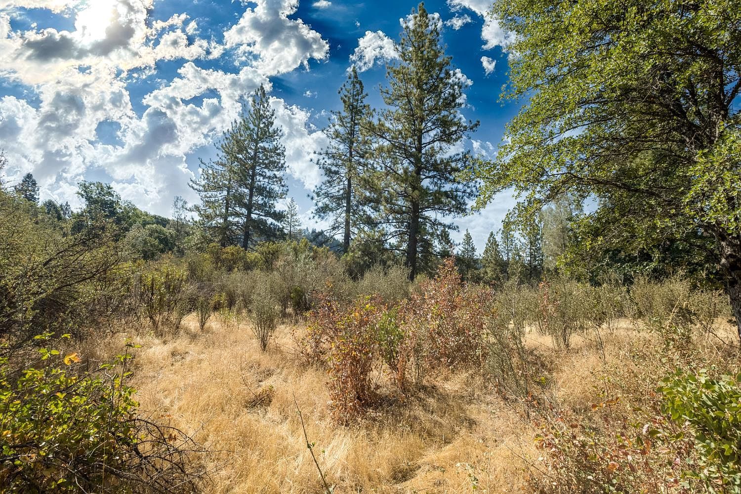 Acres 35 Dos Lagos Ct Pollock Pines, CA 95726 - Thumbnail 3