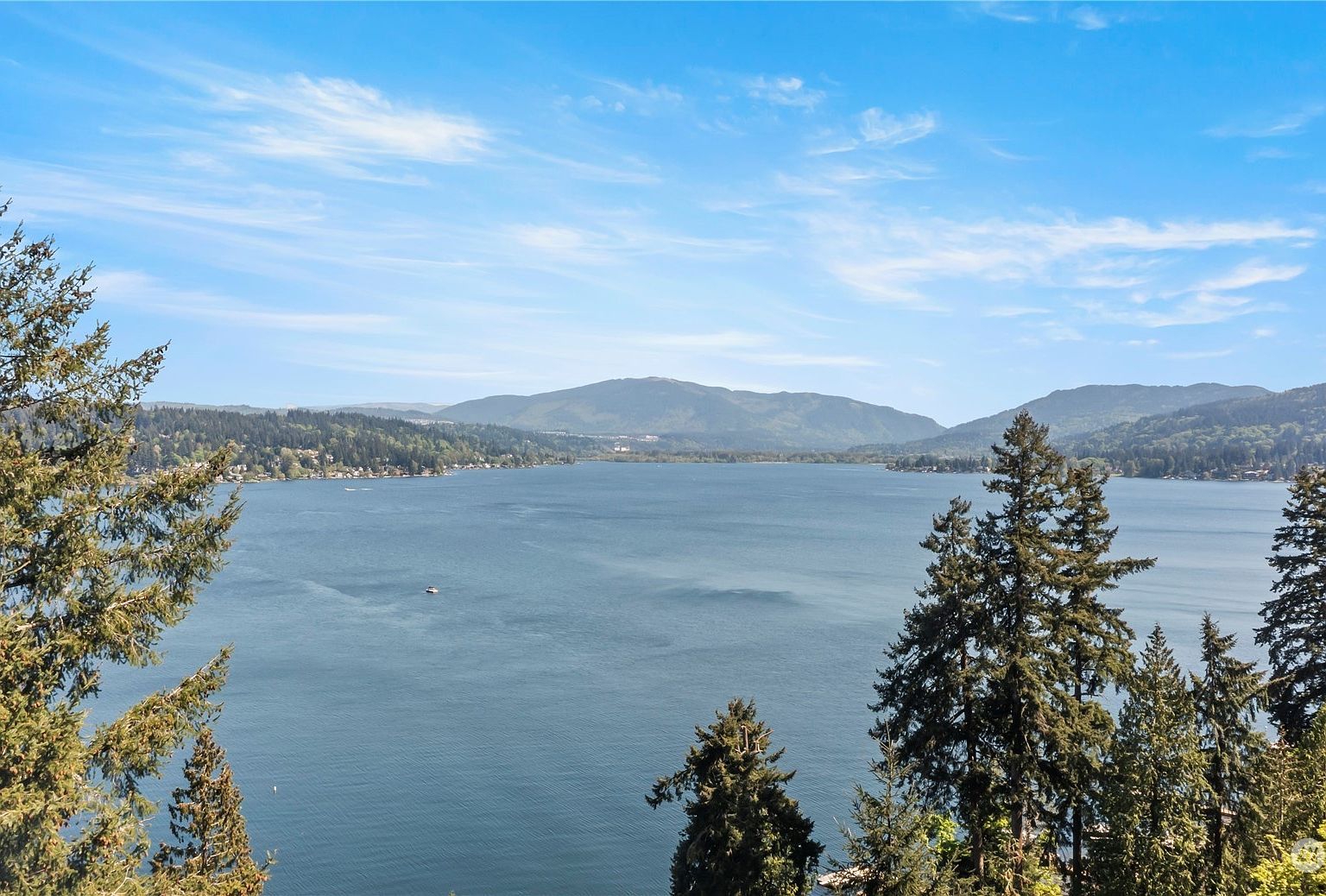 1607 W Lake Sammamish Pkwy SE Bellevue, WA 98008 - Thumbnail 3