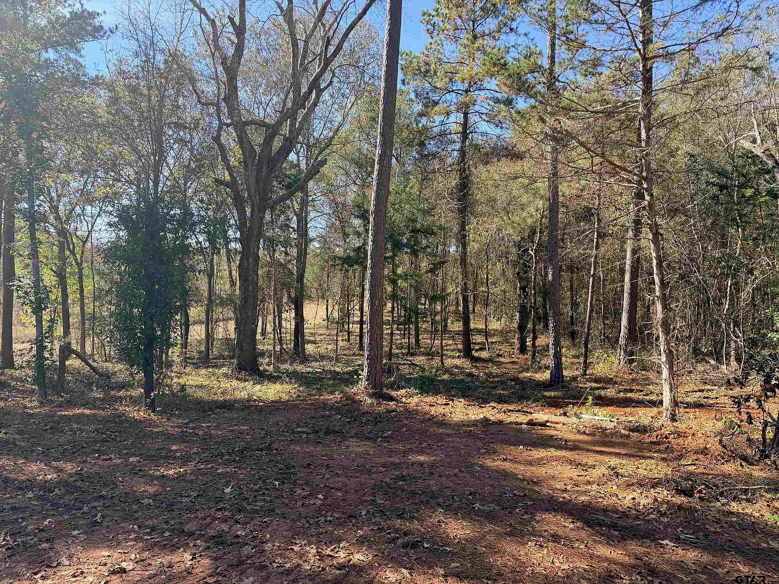 10719 Portside Cir Tyler, TX 75708 - Thumbnail 3