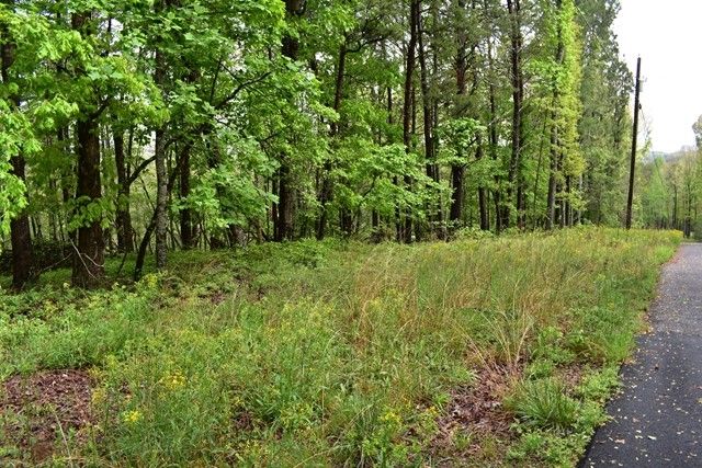 0 Glenridge Dr. Lot 57, Cleveland, GA, 30528 - Thumbnail 3