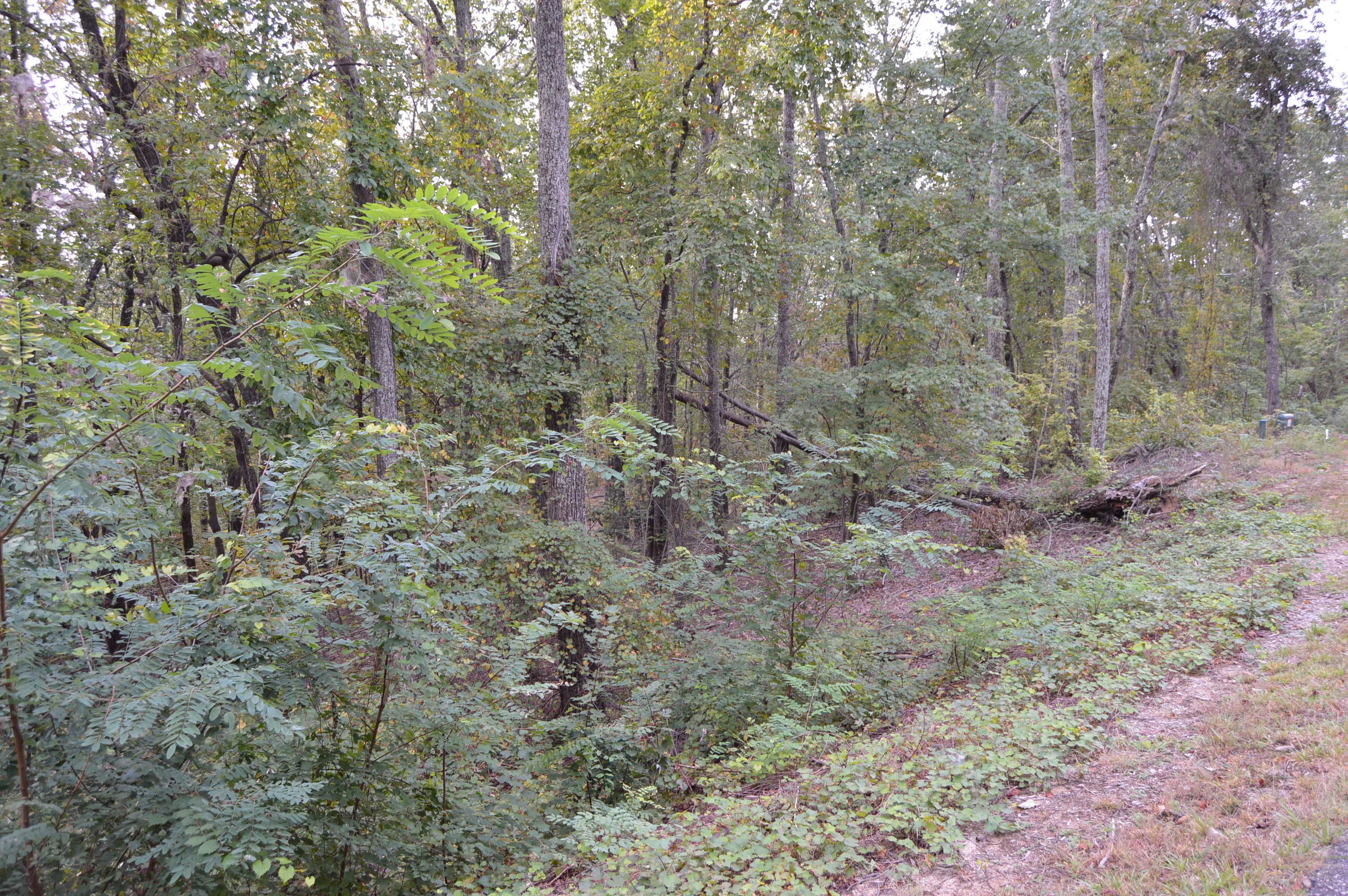 42 Autumn Sweet Dr, Clarkesville, GA, USA, 30523 - Thumbnail 3