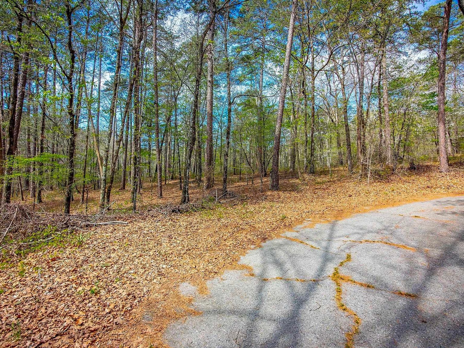 6 Tafalla Pl Hot Springs Village, AR 71909 - Thumbnail 3