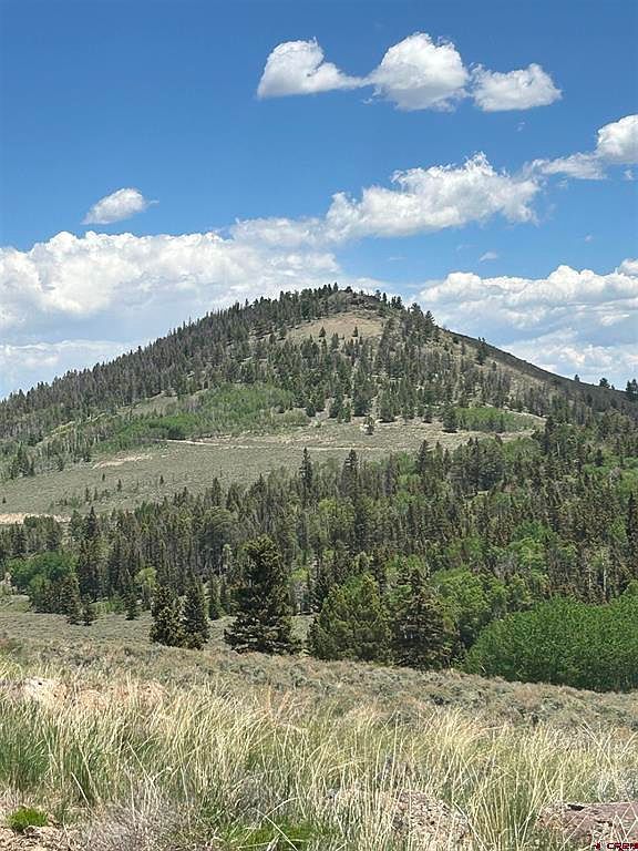 4693 Blue Mesa Dr Powderhorn, CO 81243 - Thumbnail 3