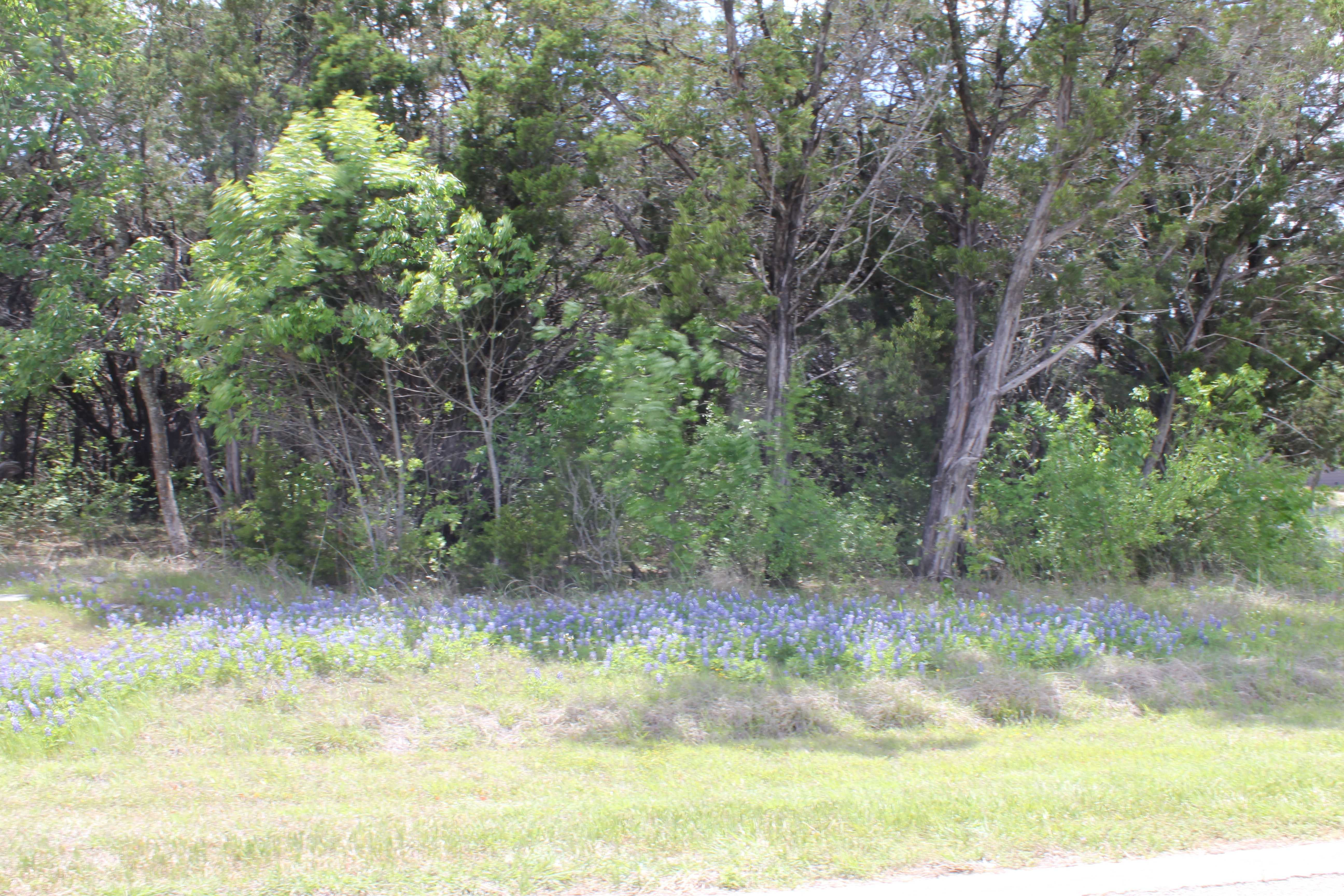 8312 Caprington Court, Cleburne, Texas 76033, TX - Thumbnail 3