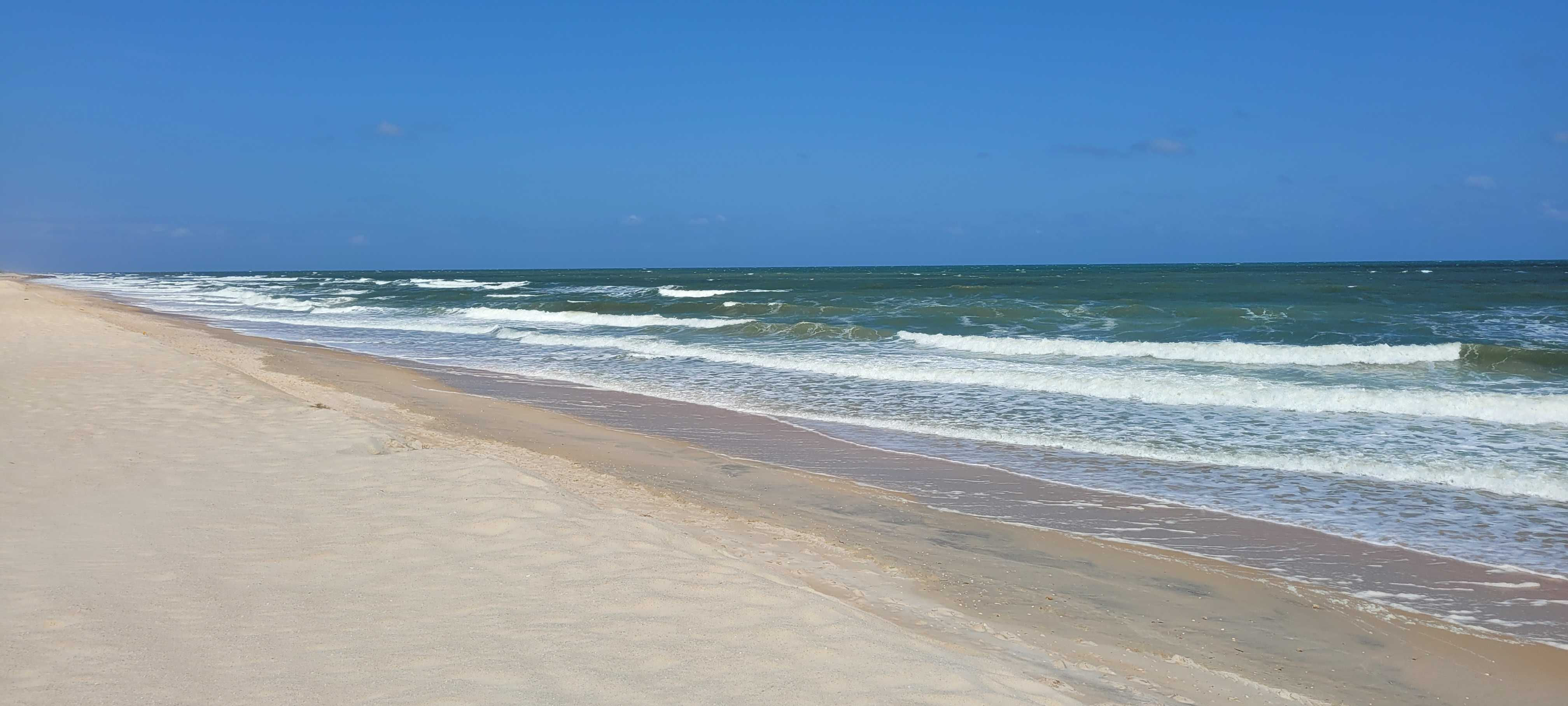 29 Ocean Street, Palm Coast, FL, USA, 32137 - Thumbnail 3