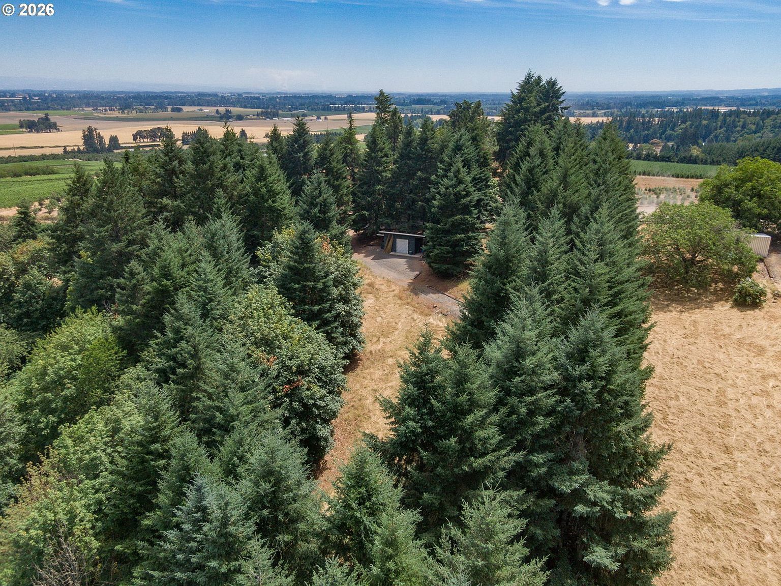 19601 NE Trunk Rd Dundee, OR 97115 - Thumbnail 3