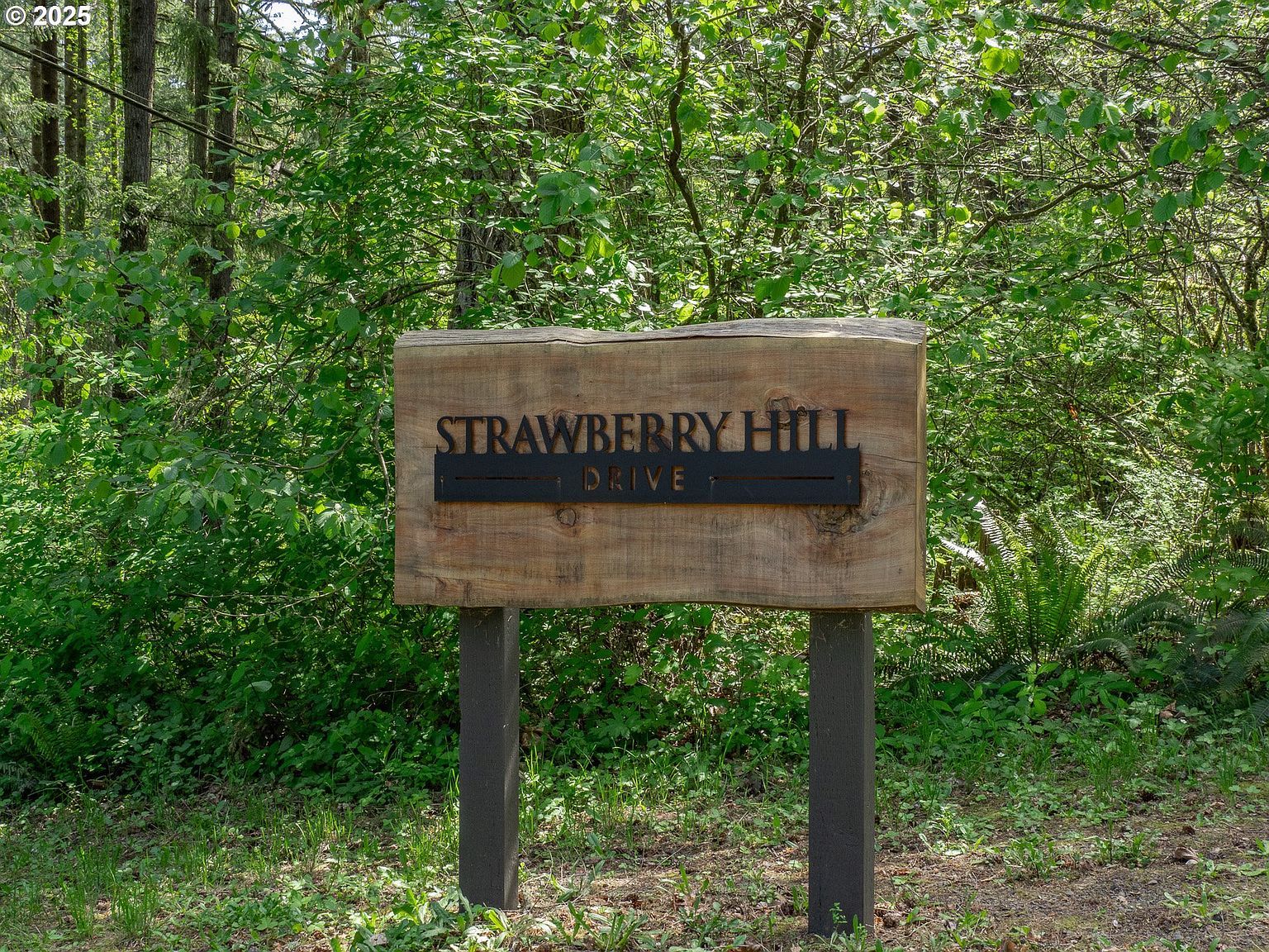 27701 SW Strawberry Hill Dr Hillsboro, OR 97123 - Thumbnail 3