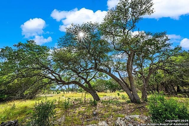 430 E Cool Creek Rd #56 Center Pt, TX 78010 - Thumbnail 3