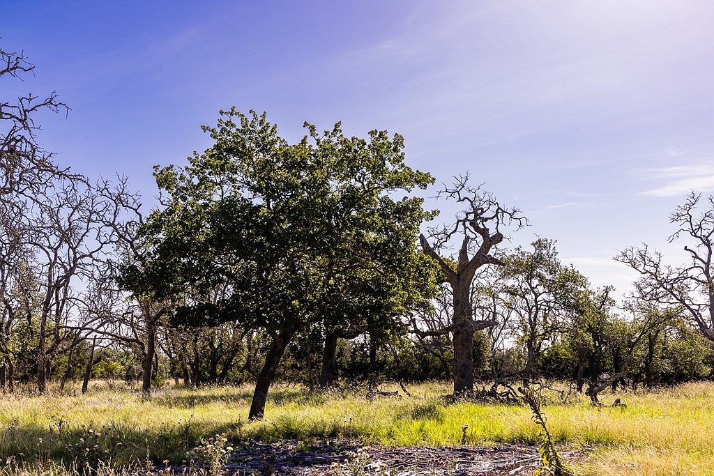 197 NW Rustler Rdg Mountain Home, TX 78058 - Thumbnail 3