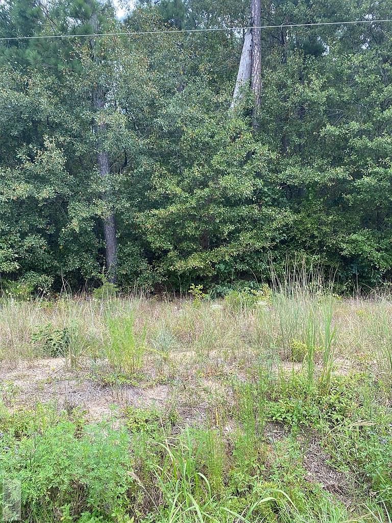 5445 Dubose Siding Rd Sumter, SC 29153 - Thumbnail 3