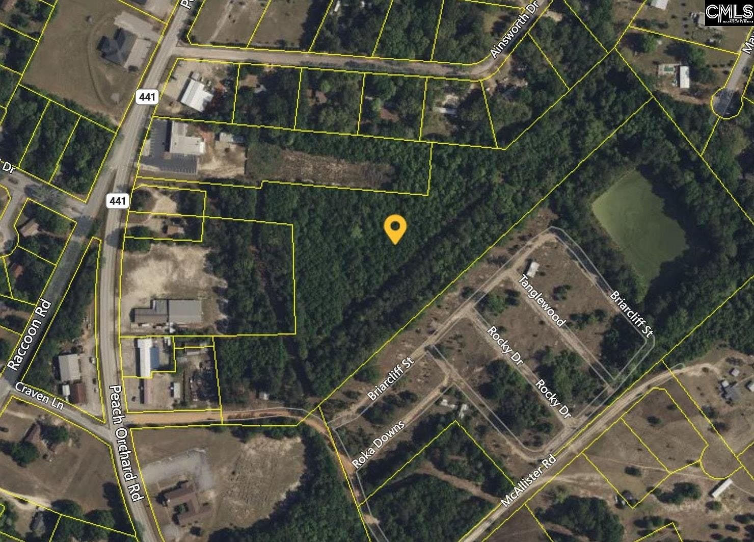 2595 Peach Orchard Rd Dalzell, SC 29040  | Land/Lot