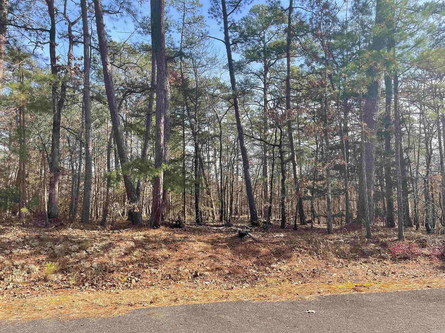 49 Glorieto Way B #L-10-3 Hot Springs Village, AR 71909 - Thumbnail 3