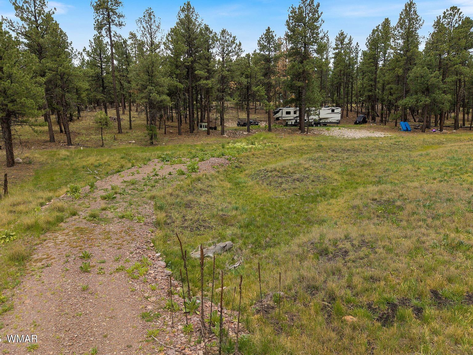 County Road 2121 Alpine, AZ 85920 - Thumbnail 3