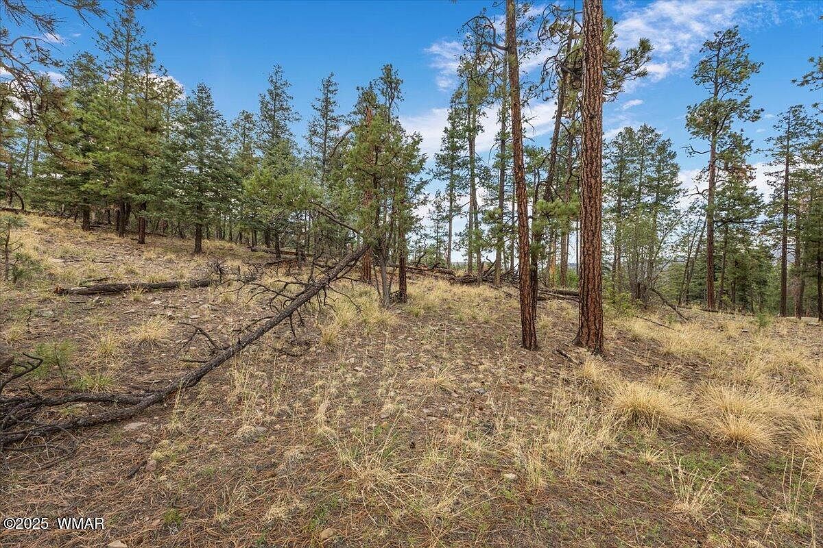 14 County Road 2074 Alpine, AZ 85920 - Thumbnail 3