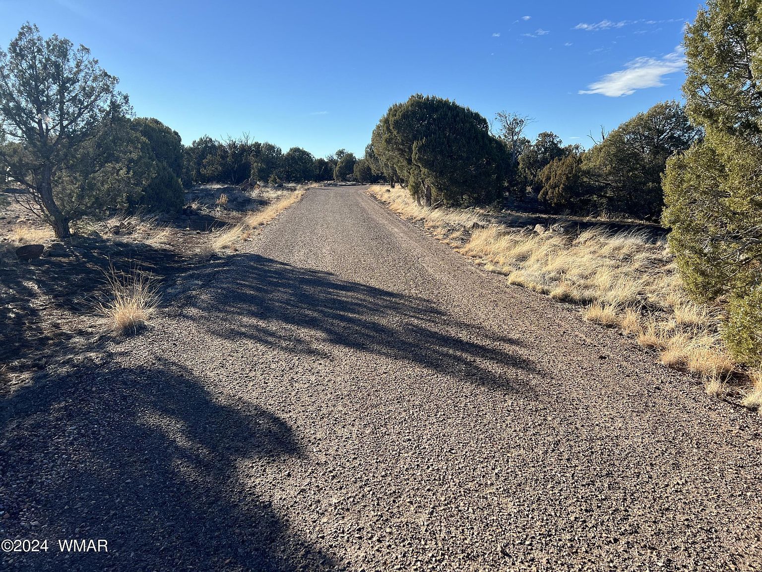 2008 Rosa Ln Show Low, AZ 85901 - Thumbnail 3