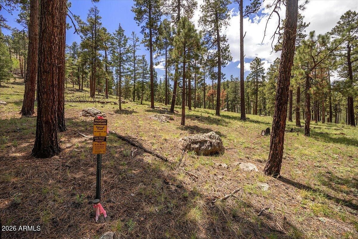 14 County Road N1062 #15 Greer, AZ 85927 - Thumbnail 3