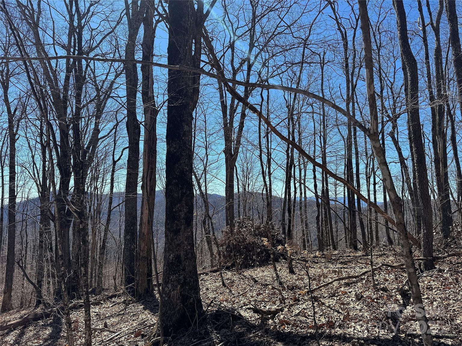 Doublehead Mountain Rd Newland, NC 28657 - Thumbnail 3