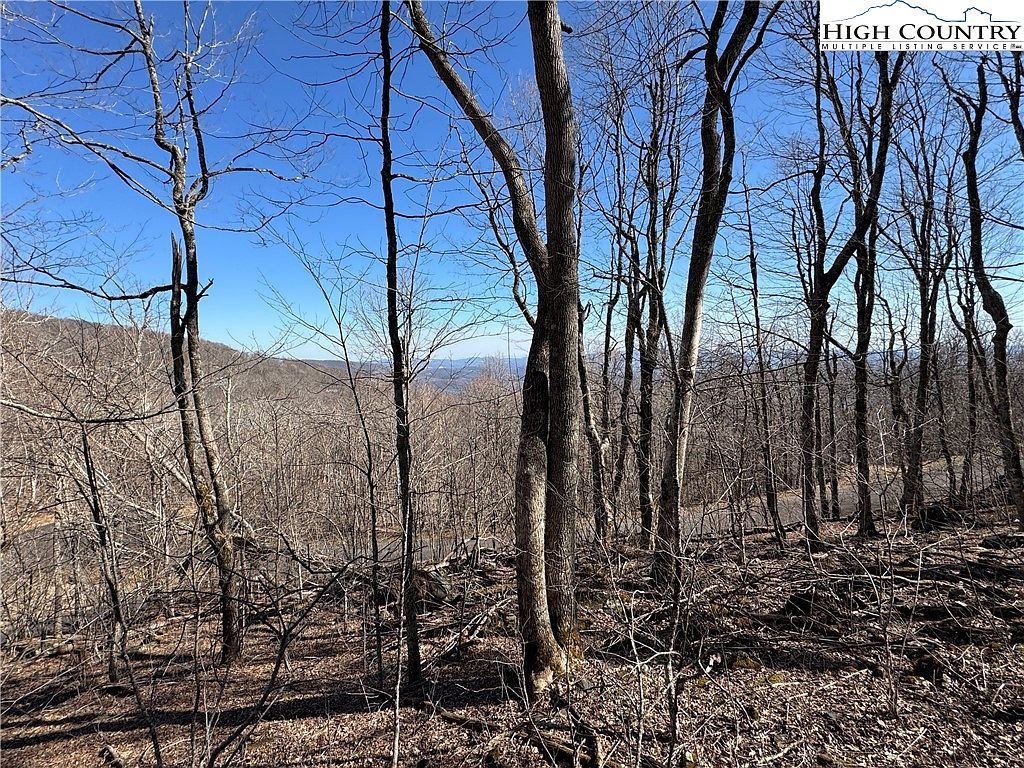 29 Crown Maple Ln W Jefferson, NC 28640 - Thumbnail 3