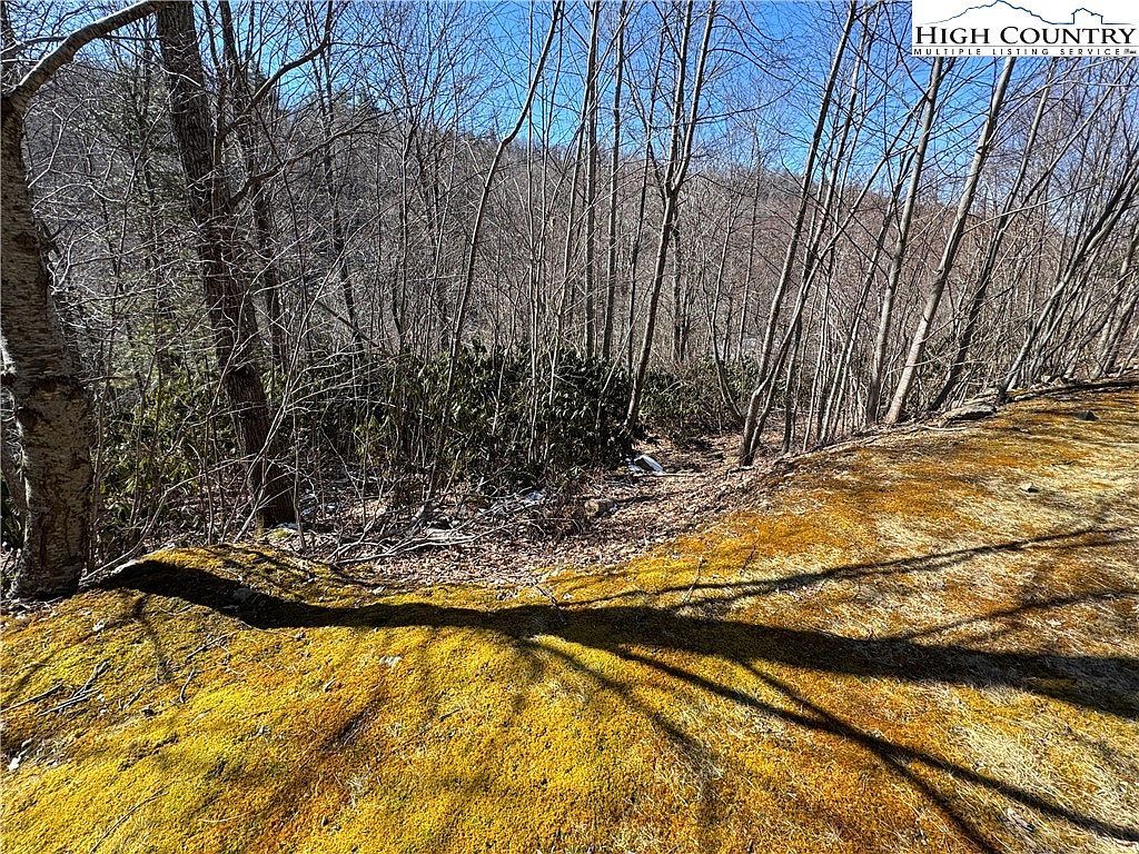 46 Falls Creek Pkwy Elk Park, NC 28622 - Thumbnail 3