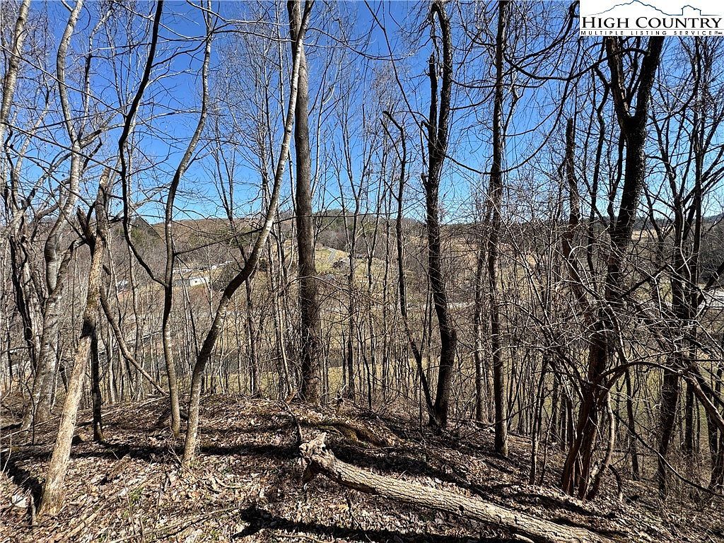 Charlie King Rd Lansing, NC 28643 - Thumbnail 3