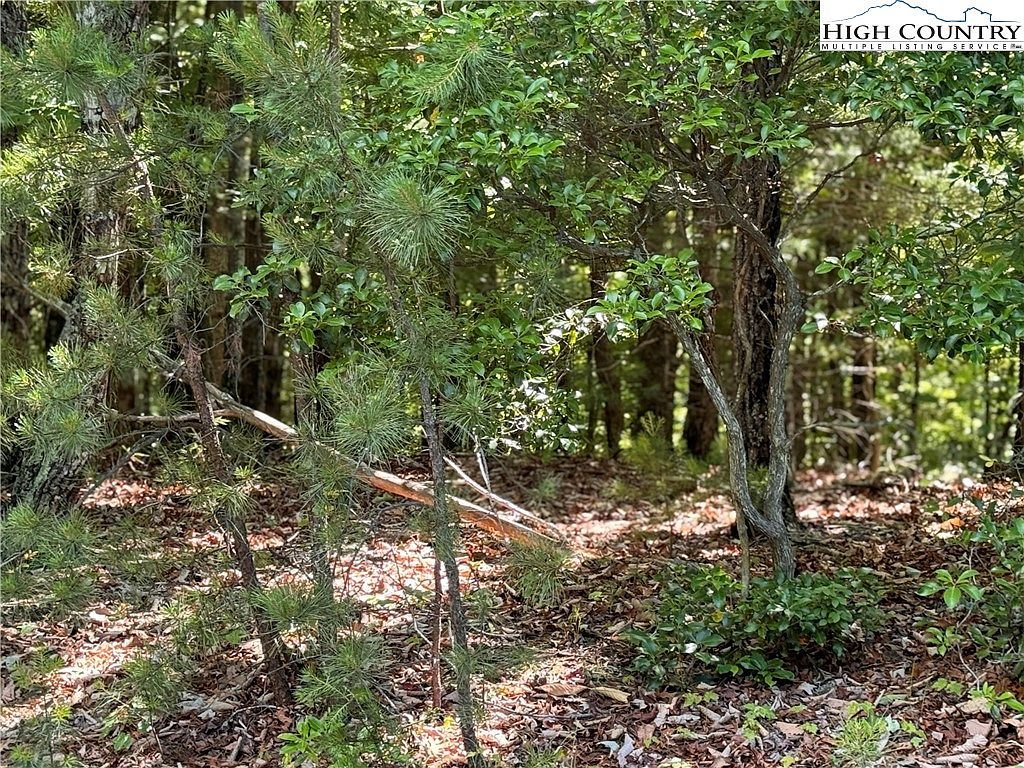 133 Steeple Chase Trl Mc Grady, NC 28649 - Thumbnail 3