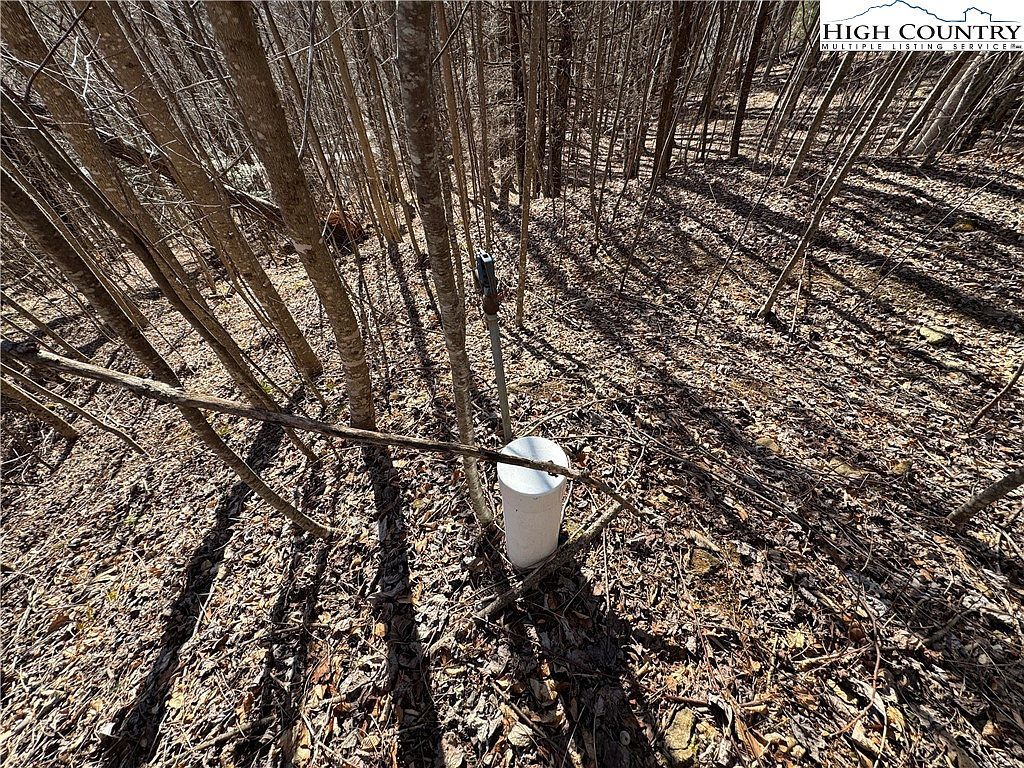 209 Hump View Trl Banner Elk, NC 28604 - Thumbnail 3