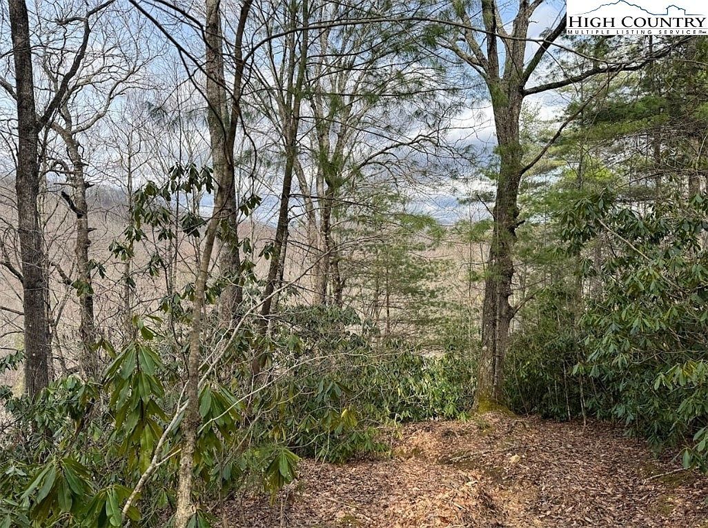 82/ACRE Doublehead Mountain Rd Newland, NC 28657 - Thumbnail 3