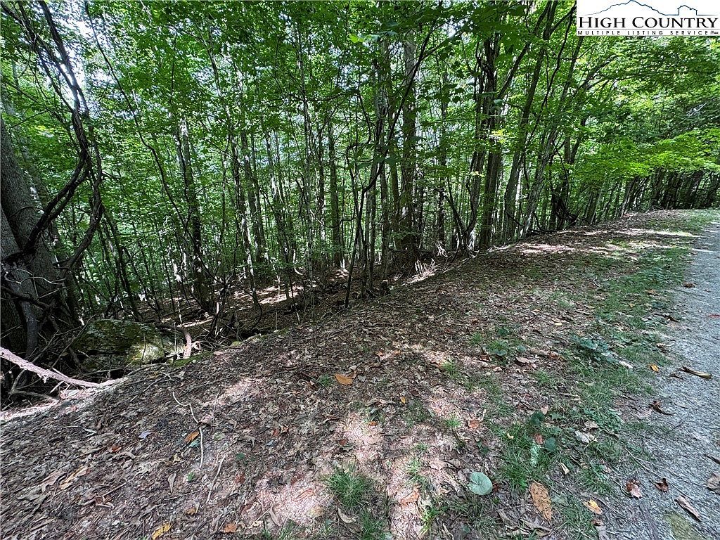 113 Arrowhead Rd Banner Elk, NC 28604 - Thumbnail 3