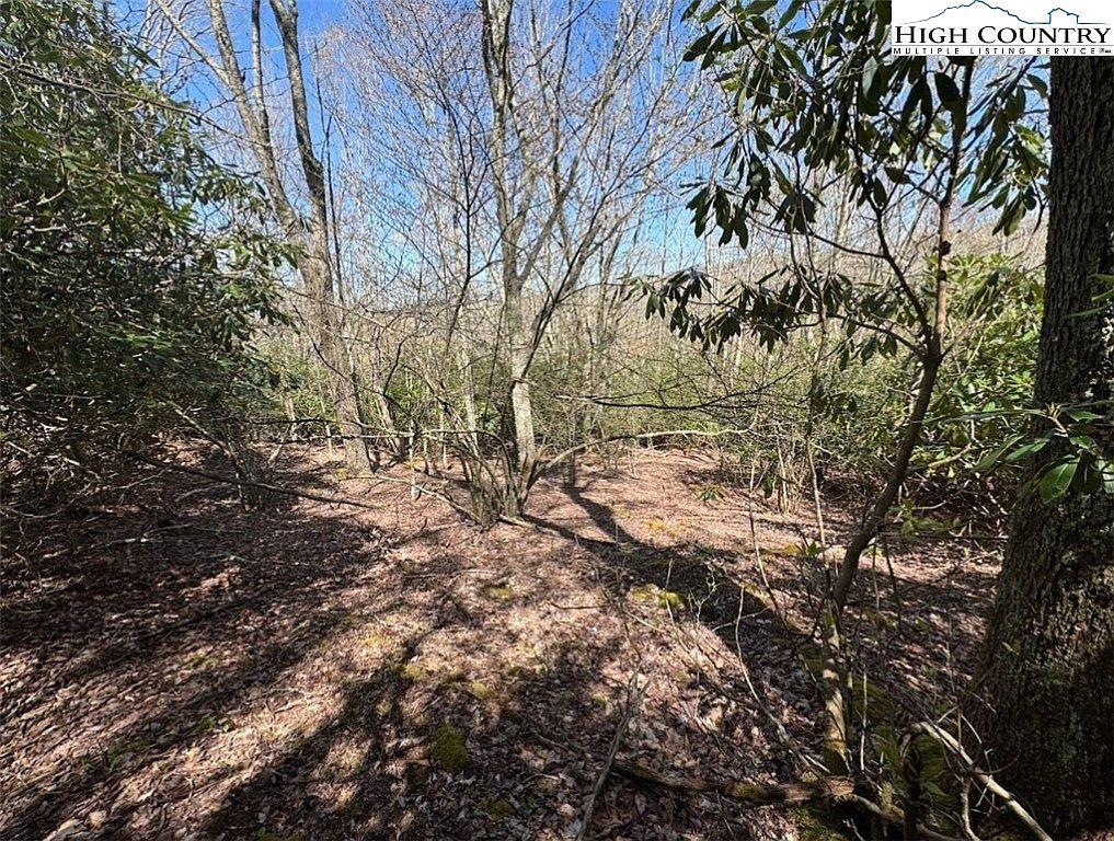 62/ACRE S Buckeye Ridge Rd Banner Elk, NC 28604 - Thumbnail 3