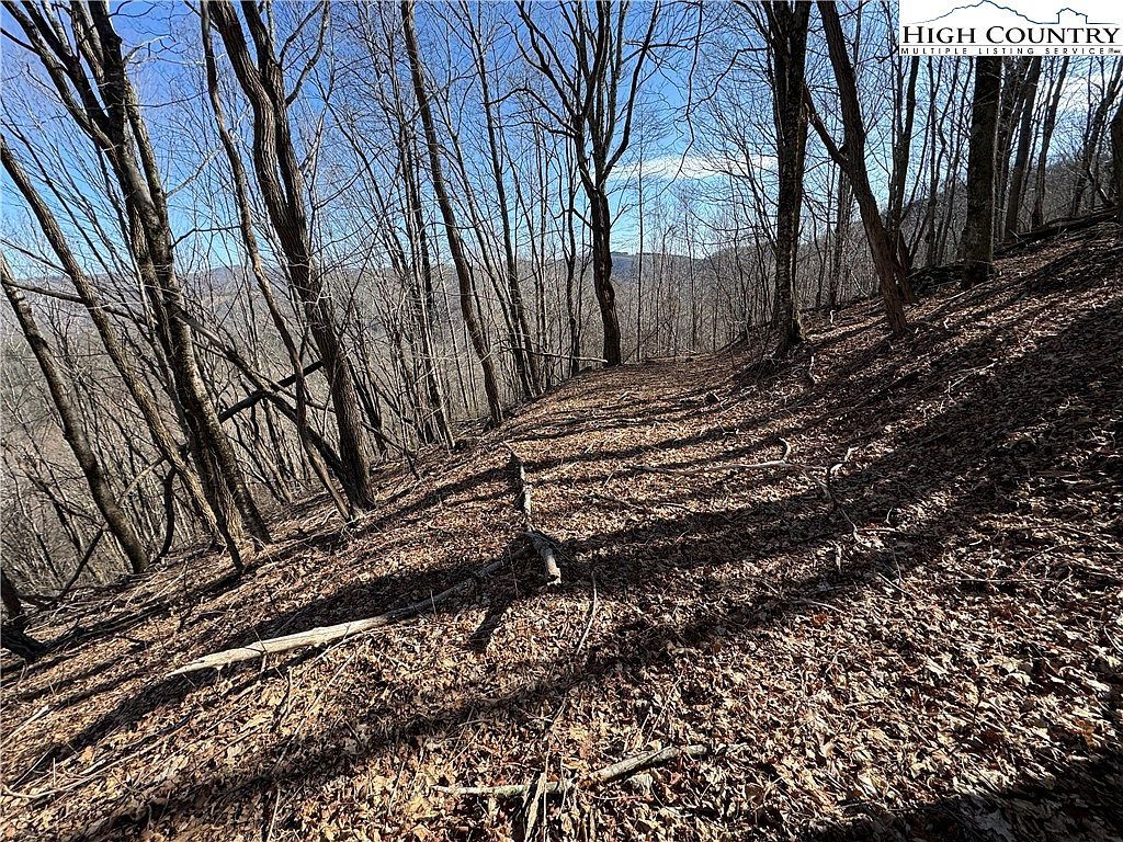 LOT 32 Jewel Weed Trl Newland, NC 28657 - Thumbnail 3