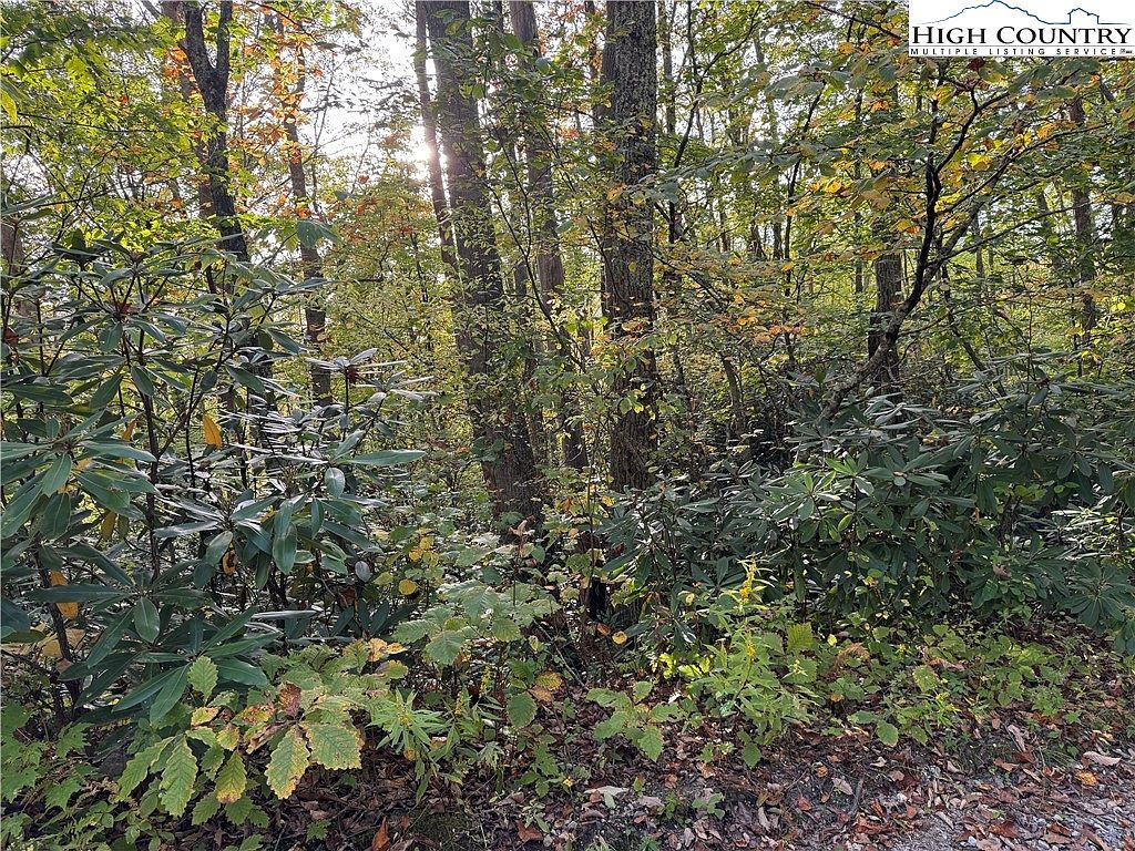 Farview Ln, Newland, NC, 28657 - Thumbnail 3