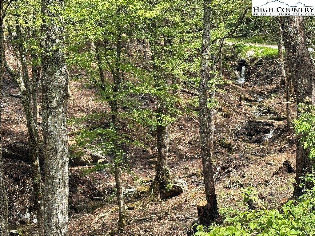 Lots 37 And 38 Snow Ridge Rd Banner Elk, NC 28604 - Thumbnail 3