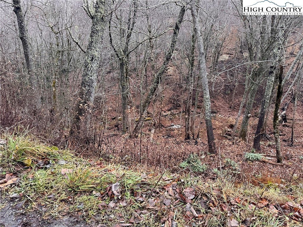Lots 39 And 40 Snow Ridge Rd Banner Elk, NC 28604 - Thumbnail 3