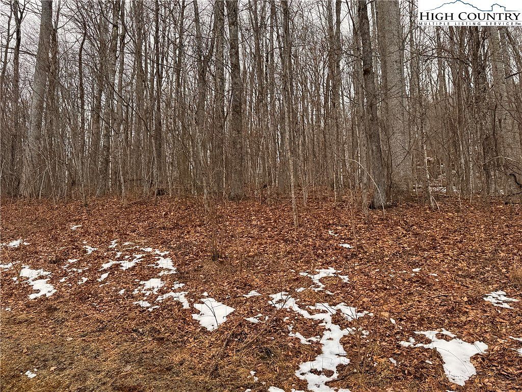 28 Elk Creek Mountain Pkwy Todd, NC 28684 - Thumbnail 3