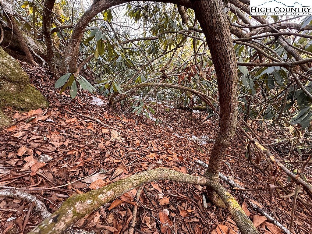 117 Wild Daisy Ln Banner Elk, NC 28604 - Thumbnail 3