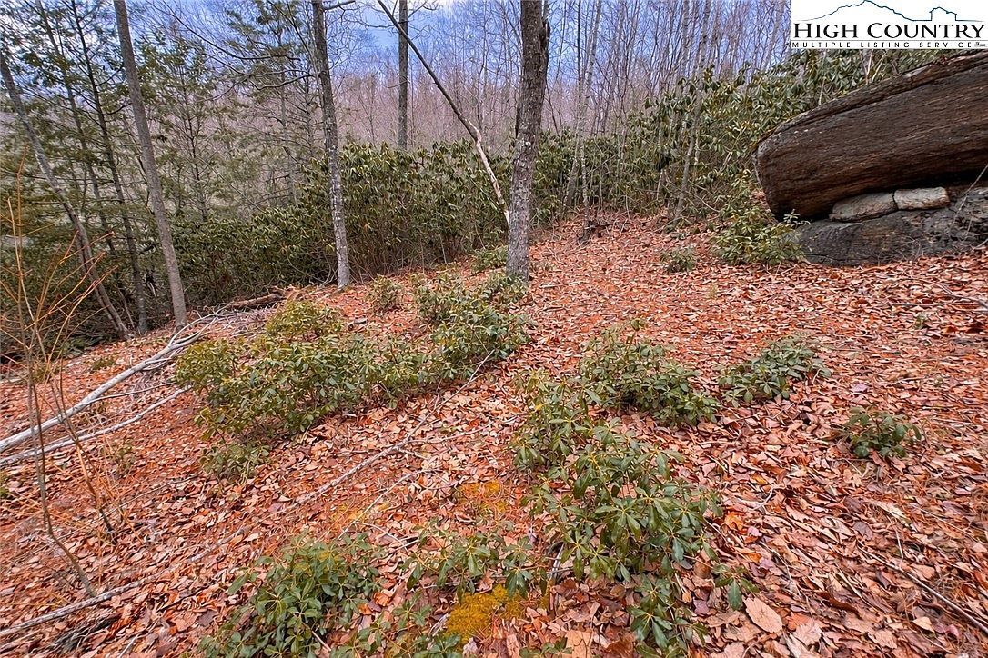 92 Beaver Dam Rd Elk Park, NC 28622 - Thumbnail 3