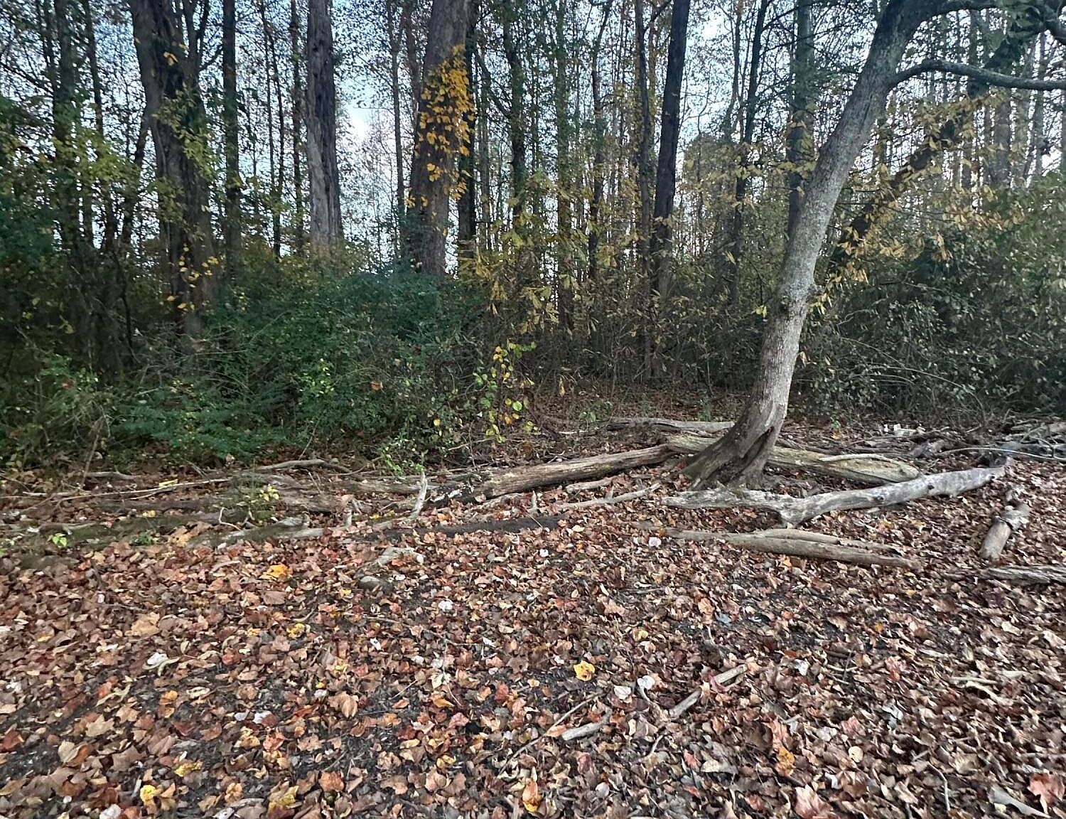 LOT 7 Lake Forest Dr Birchwood, TN 37308 - Thumbnail 3