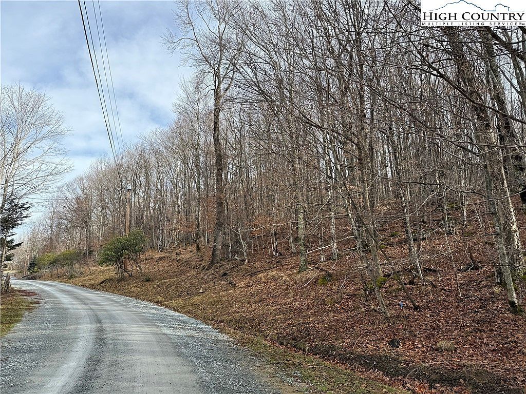 109 Hawthorne Rd Banner Elk, NC 28604 - Thumbnail 3