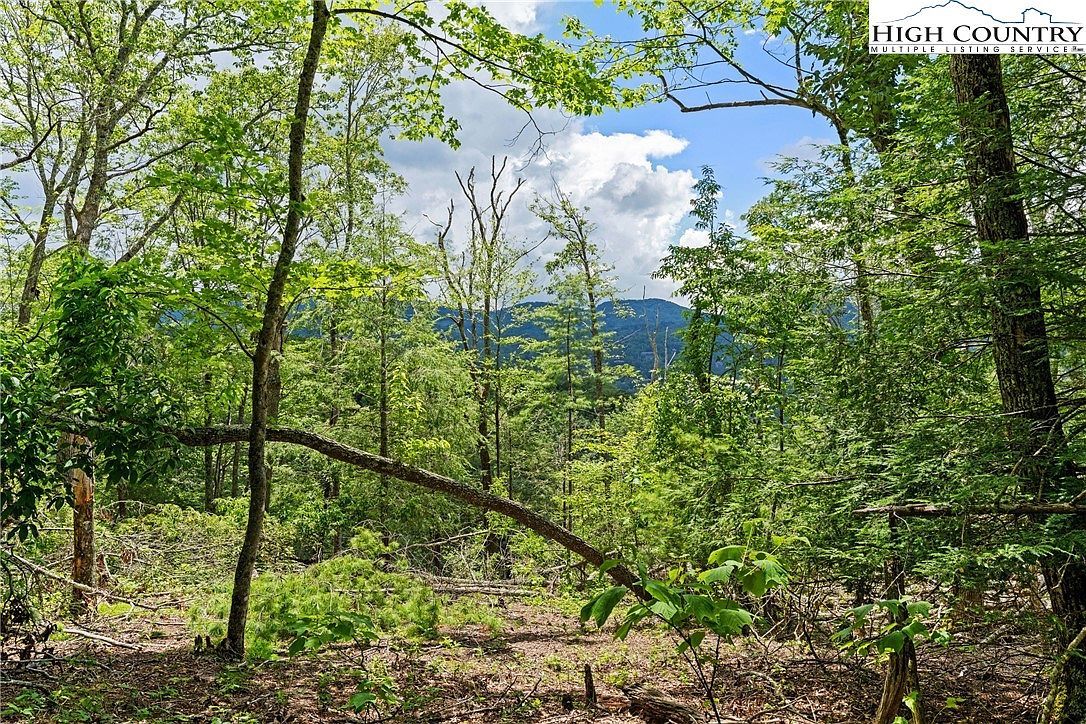 LOT 41 White Fox Ln Banner Elk, NC 28604 - Thumbnail 3